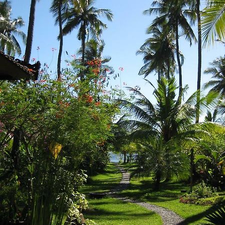 Bali Sandat تيجاكولا المظهر الخارجي الصورة
