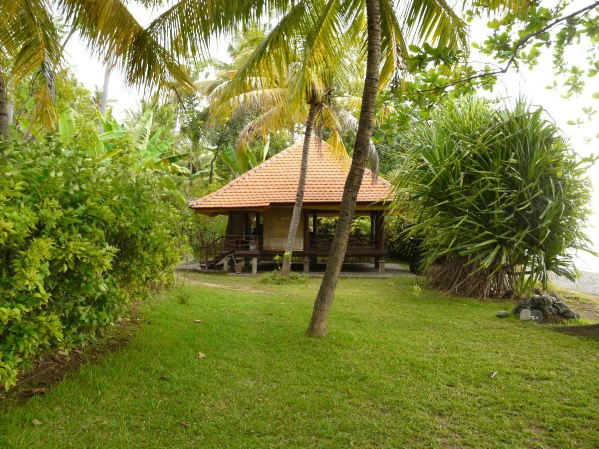 Bali Sandat تيجاكولا المظهر الخارجي الصورة