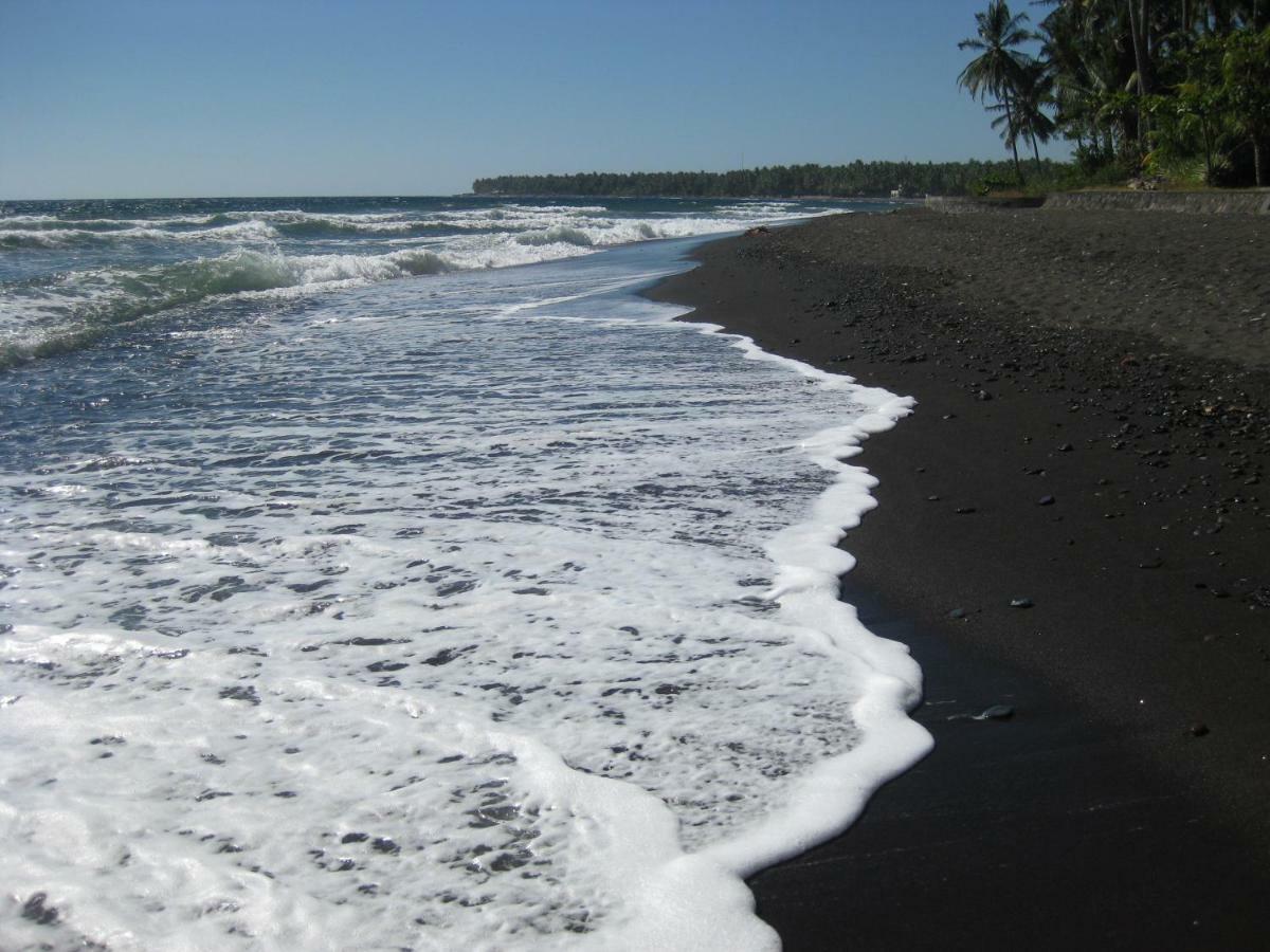 Bali Sandat تيجاكولا المظهر الخارجي الصورة