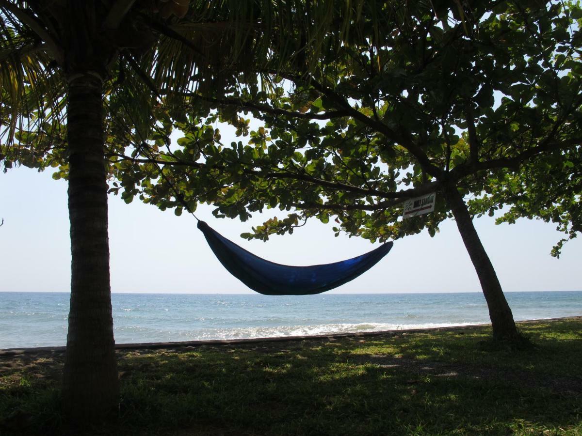 Bali Sandat تيجاكولا المظهر الخارجي الصورة