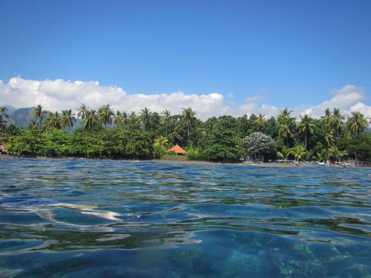 Bali Sandat تيجاكولا المظهر الخارجي الصورة