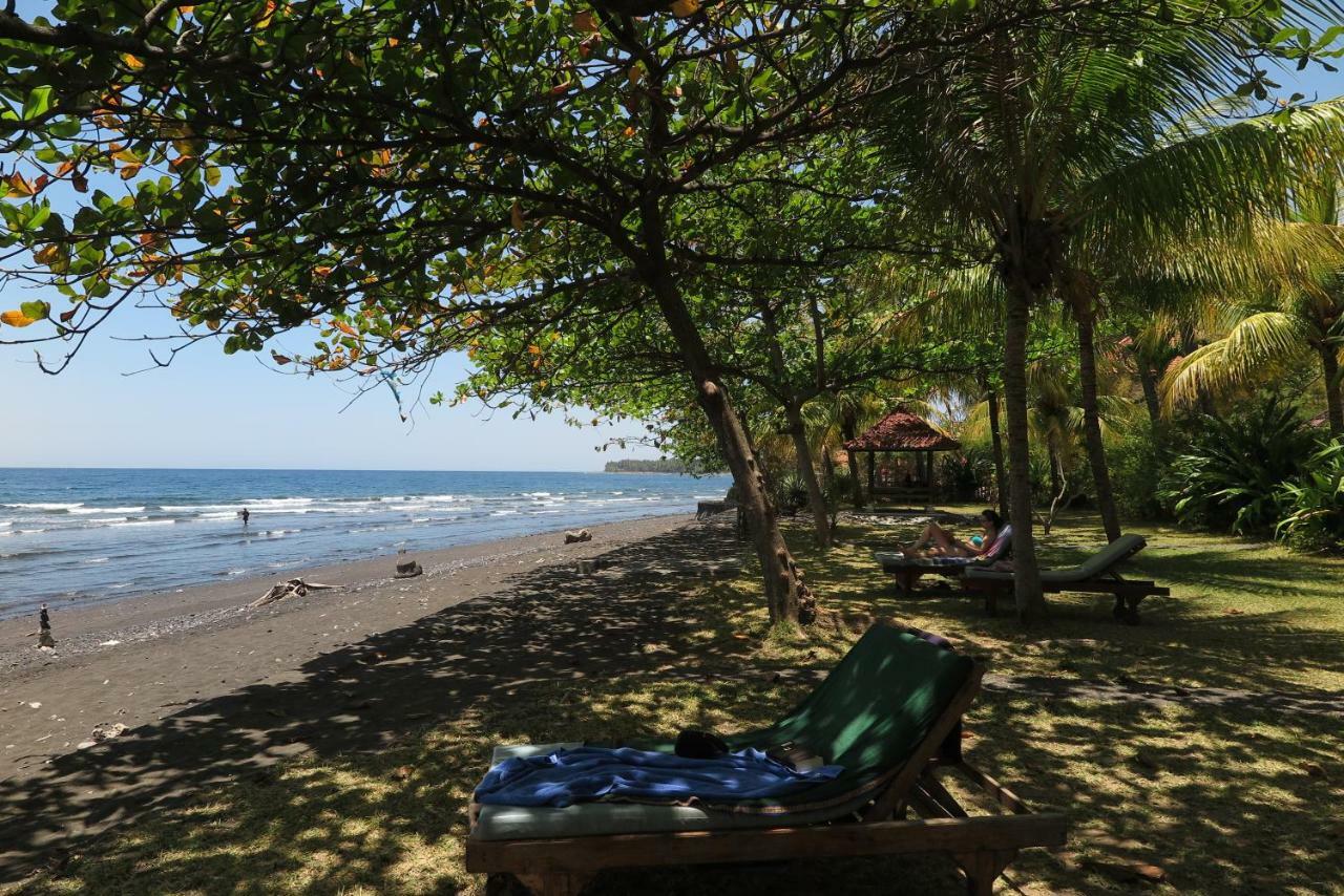 Bali Sandat تيجاكولا المظهر الخارجي الصورة