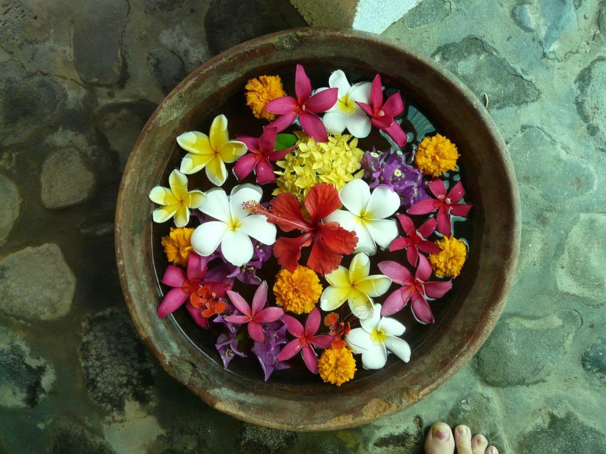 Bali Sandat تيجاكولا المظهر الخارجي الصورة