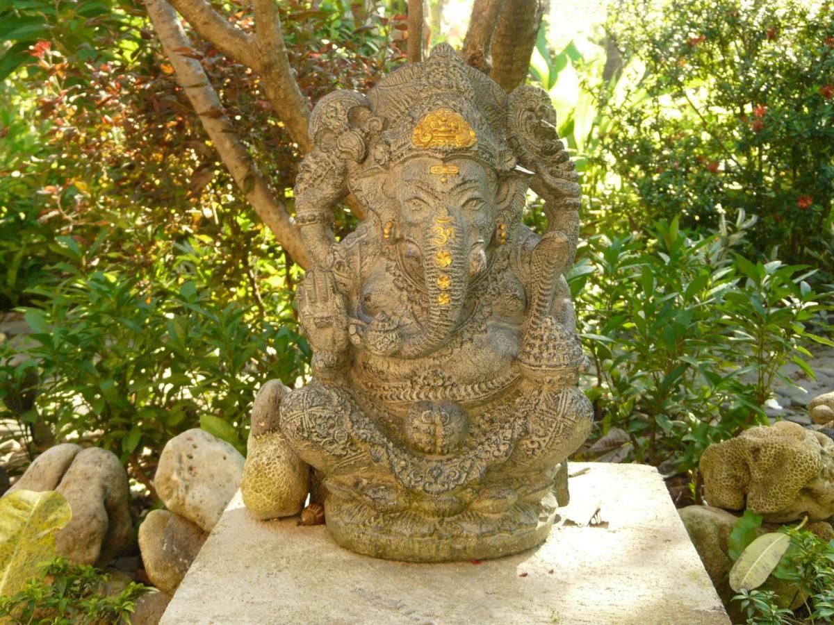 Bali Sandat تيجاكولا المظهر الخارجي الصورة