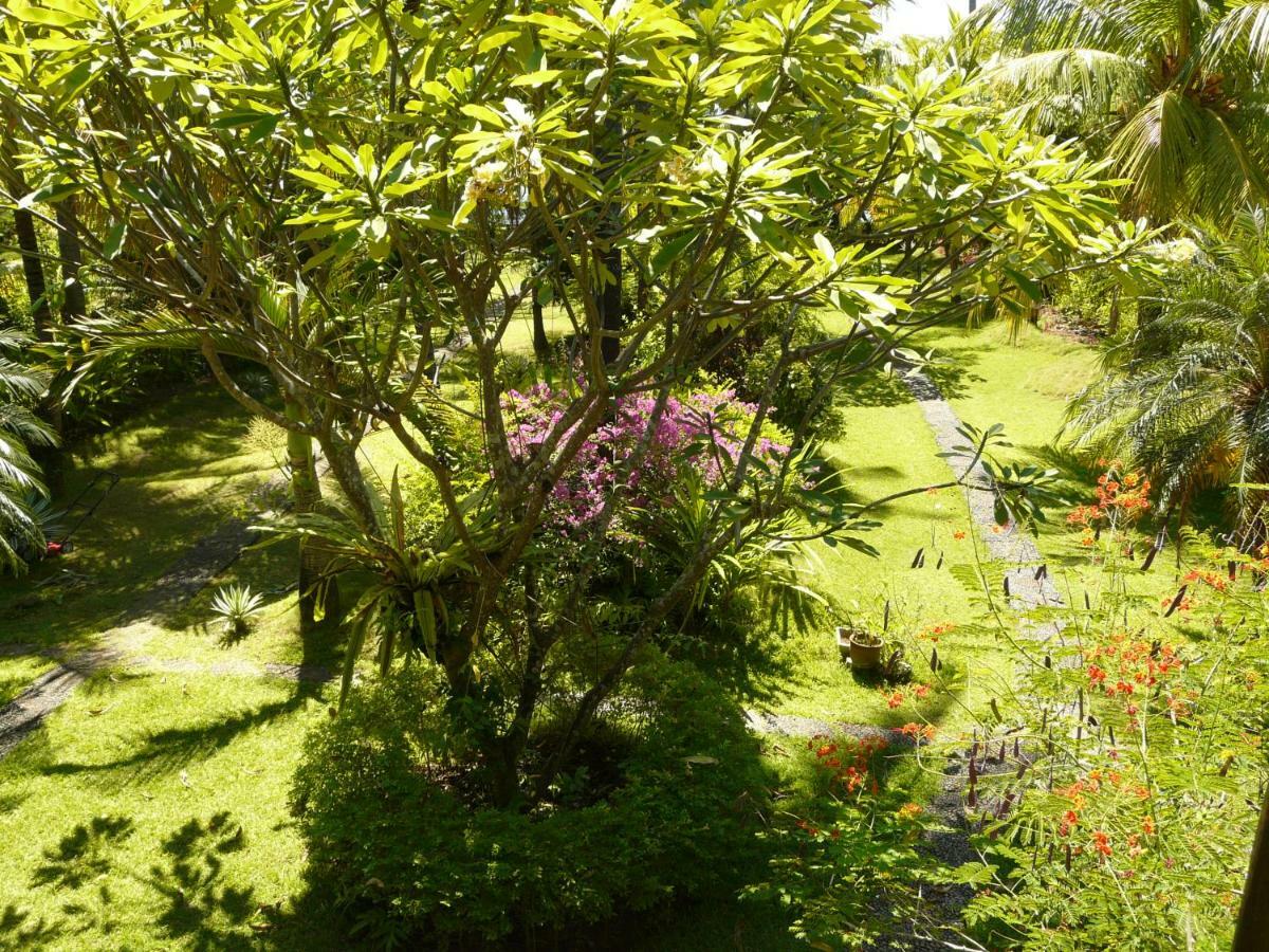 Bali Sandat تيجاكولا المظهر الخارجي الصورة