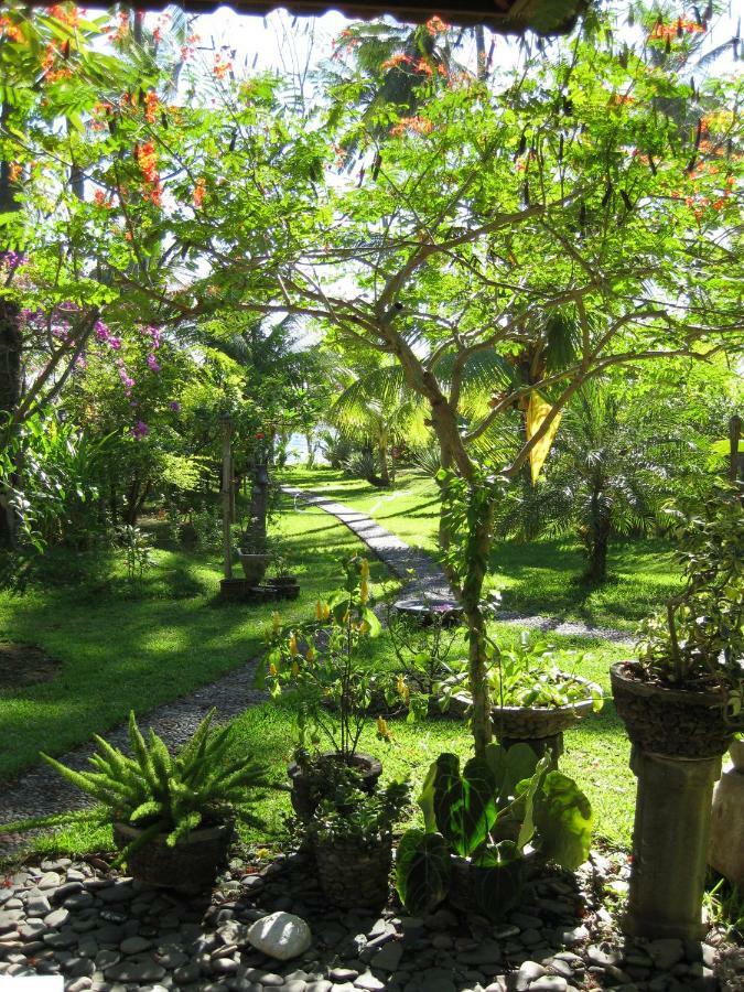 Bali Sandat تيجاكولا المظهر الخارجي الصورة