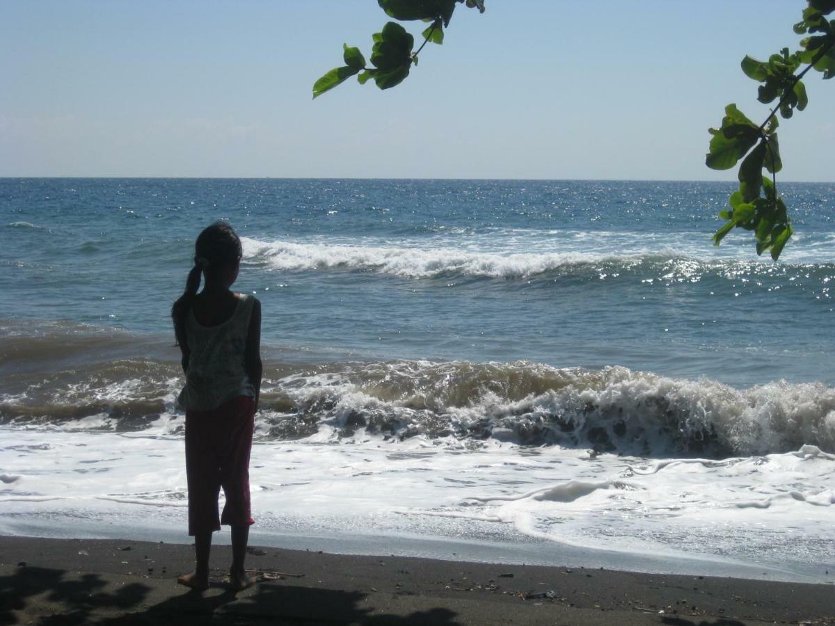 Bali Sandat تيجاكولا المظهر الخارجي الصورة