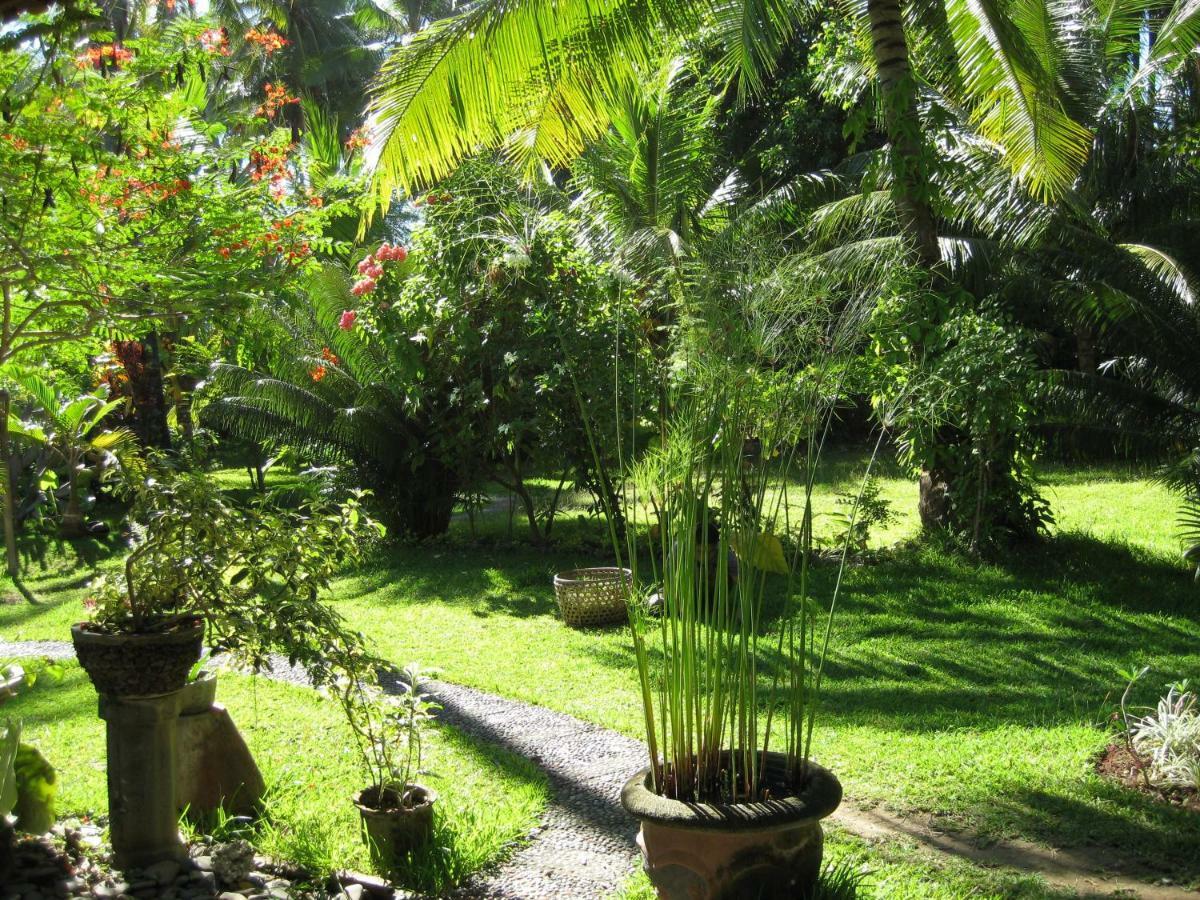 Bali Sandat تيجاكولا المظهر الخارجي الصورة